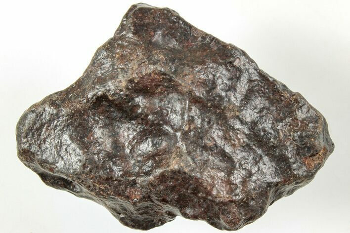 Chondrite Meteorite ( g) - Western Sahara Desert #233219